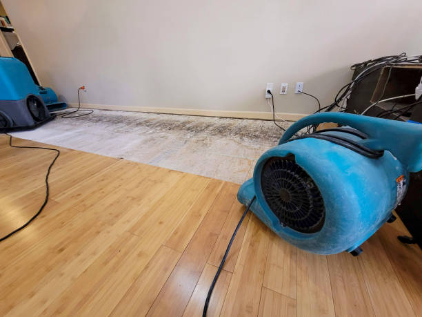 Professional Flood Damage Cleanup technician working in Shelter Island, NY
